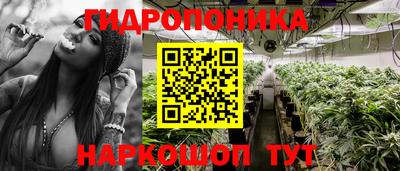 гашик Малгобек