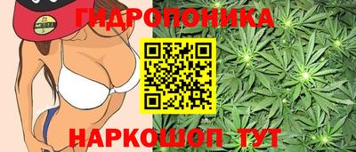 apvp Мариинск